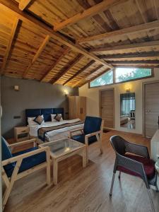 The woodpecker nest by lake & woods