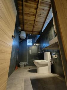 The woodpecker nest by lake & woods