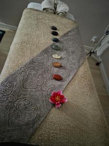 Home COLOSSEUM GUEST HOUSE