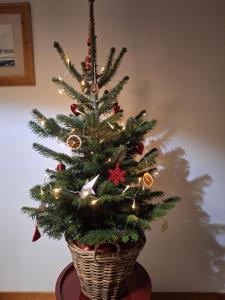 Szczyt Beztroski- Domki Wellness Balia & Sauna