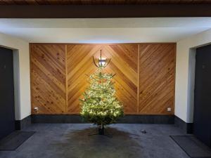 Szczyt Beztroski- Domki Wellness Balia & Sauna