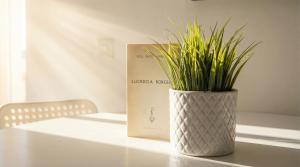 Wonderful apt with terrace - 15m walk Giralda