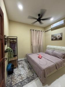 Amda CS Guest House