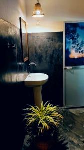 Relax point cabana & restaurant