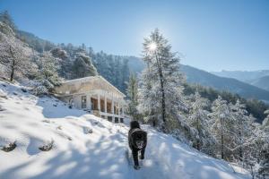 The ISISINGA - A Forest Retreat In Mountains