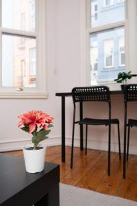 Galata Maison by Guest Teori