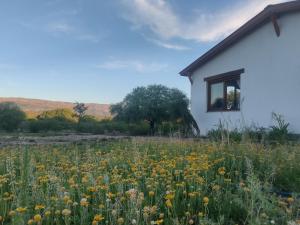 Casa de campo La Chunia