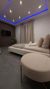 Luxueux appartement T3