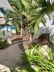 Mittoz House with beach access in Holbox downtown