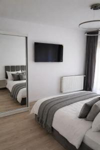 Cozy Studio, Gheorgheni, near Iulius Mall