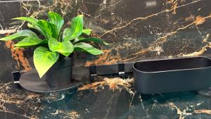 Apartment near Stradiņa University & Garden