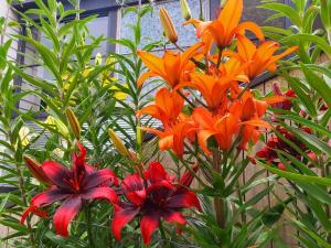 Hidden Gem - St Marys