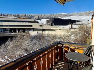 Light Alpine Apartment with View Heart of Flims