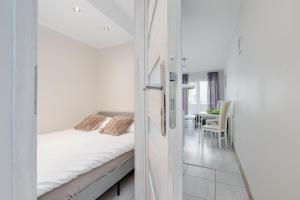 Przytulny apartament 28 w centrum Szczecina