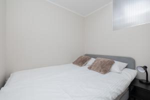 Przytulny apartament 28 w centrum Szczecina