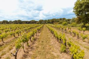 La Cabane de Mouresse