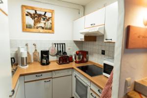 Haus Bergidyll 2-Raum-Wohnung Hüttenzauber