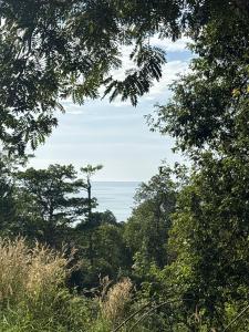 Little Bailan Retreat - Jungle Escape