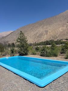 VALLE DEL ELQUI,Diaguitas, Vicuña