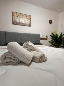 Krid Tirana Studio Flat