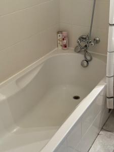 Premium Apartment near Park