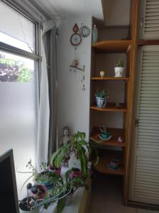 Depa de un ambiente
