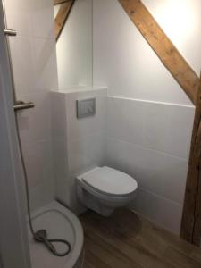 Bingo apartament przy deptaku