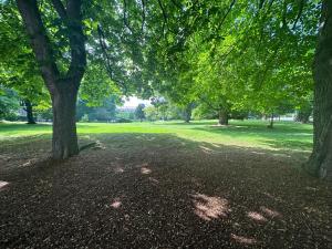 Bingo apartament przy deptaku