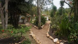 Pine Ridge Lodge Belize