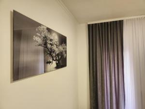 Stan na dan Moonlight Panonija