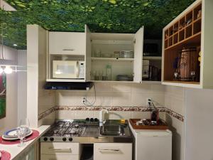 Natureza ou cidade - Studio temático na 316 Norte