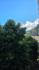 Apto Studio Catete - Próximo Metrô - Vista Jardim