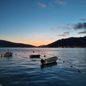 Studio apartman Burin Tivat
