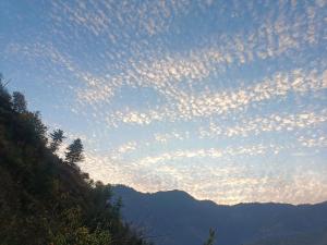 Himalayan farm stay