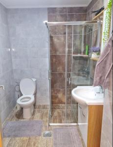 Centar Gondola apartmani