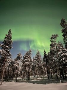 Unique Warm Glass Igloo on a frozen lake in Ivalo