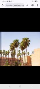 Appartemment Luxe Gueliz