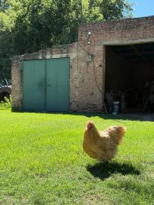 Casa Quinta en Colonia Caroya