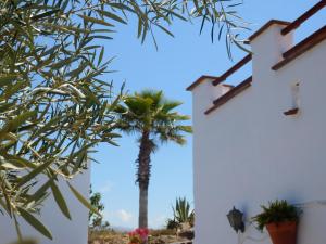 Casa Azafranes - Boutique B&B - Arenas