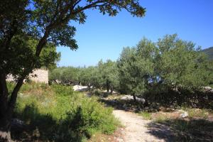 Holiday Home Studencic 3263