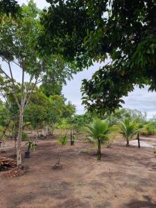 Casa do campo Flor de pitaya