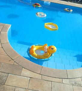 Casa Amarela Ecoloft Brasil 88