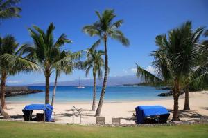 Island getaway with pool & BBQ area