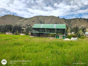 Nuevo campo verde eirl