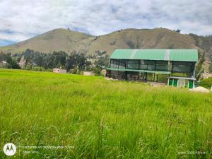 Nuevo campo verde eirl