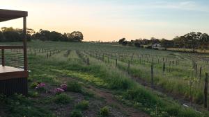 AUTRA Resort Lyndoch