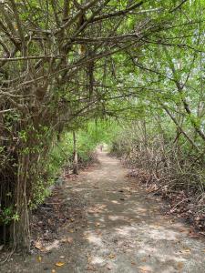 CARPE DIEM oceanfront cabin private beach