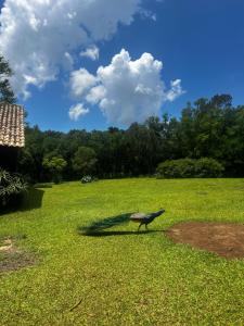 Cabana do Lago- Morro da Borússia