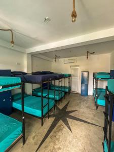 surf swell hostel