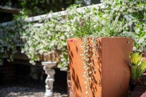 Celestial Dew Guesthouse in Tyalgum